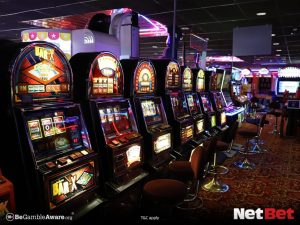 trempg - Plataforma Bet Login